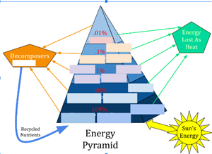 Energy Pyramid